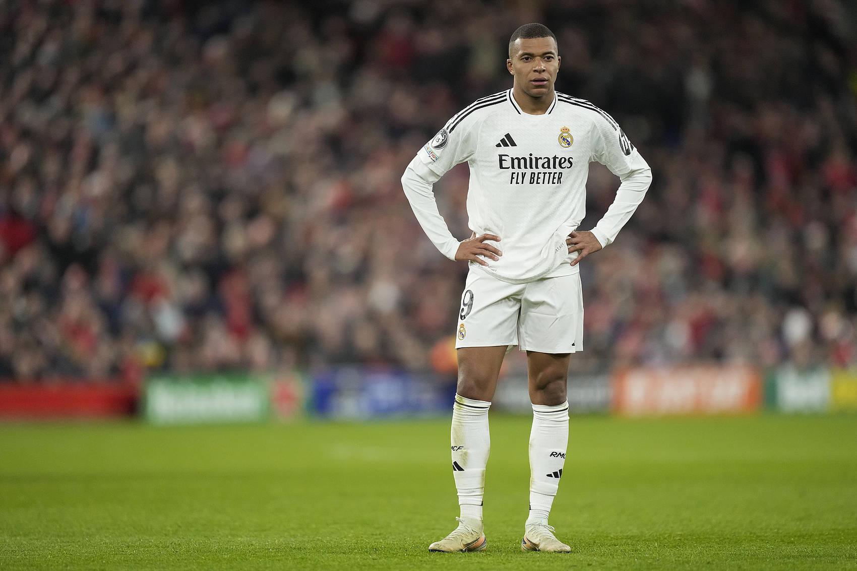 Polymarket推出2026年诺贝尔奖预测市场